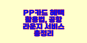 PP카드 혜택 활용법, 공항 라운지 서비스 총정리