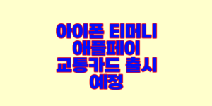 아이폰 티머니 애플페이 교통카드 출시 예정